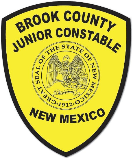Junior Constable Badge Stickers (Item #700)